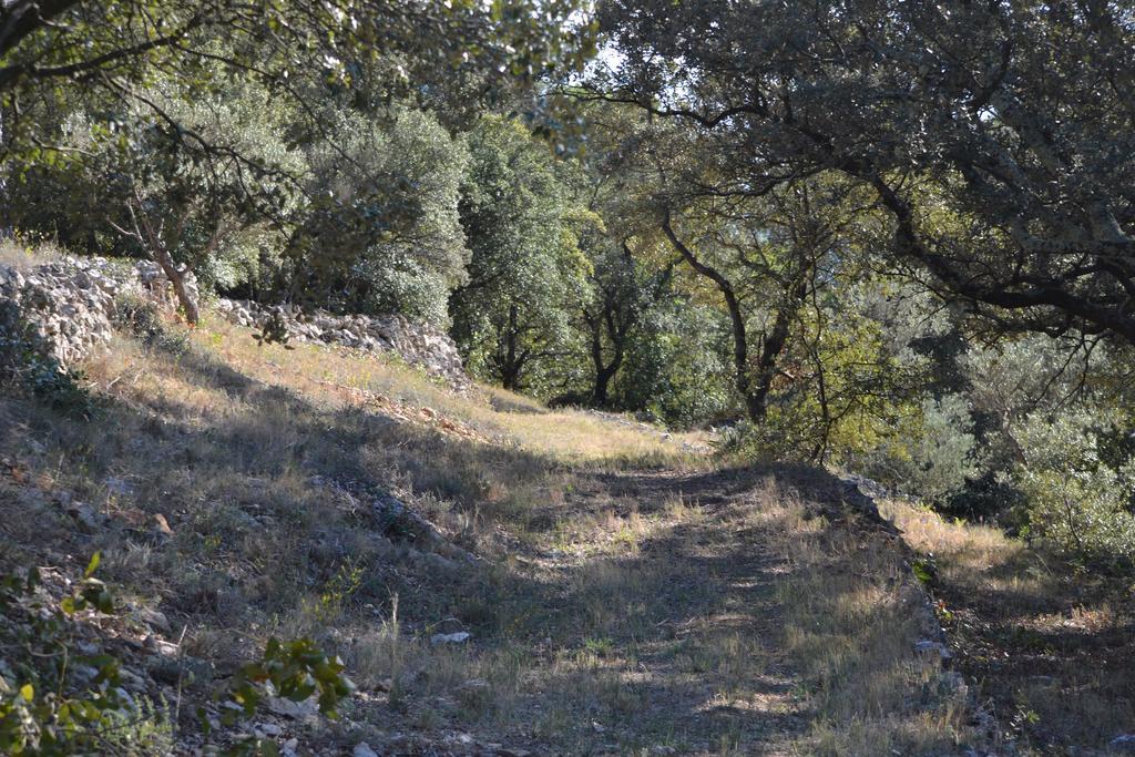 Tivoli En Provence Villa Cotignac Bagian luar foto